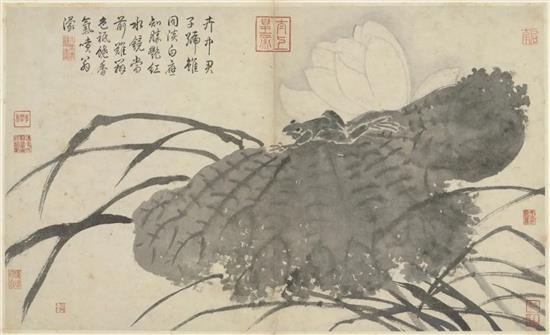 明 沈周《写生册》（荷花与蹲蛙），台北故宫博物院藏